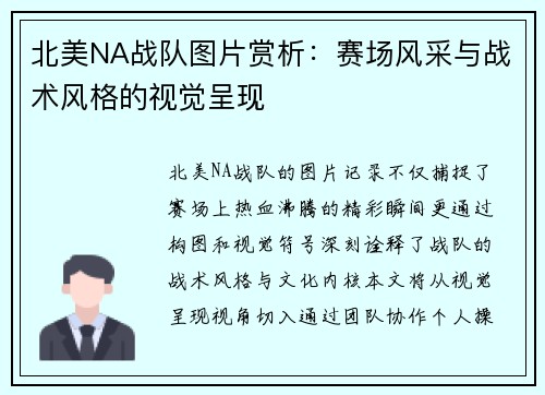 北美NA战队图片赏析：赛场风采与战术风格的视觉呈现